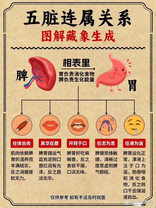 脾和脾胃分别对应哪种颜色的详细解释是什么？
