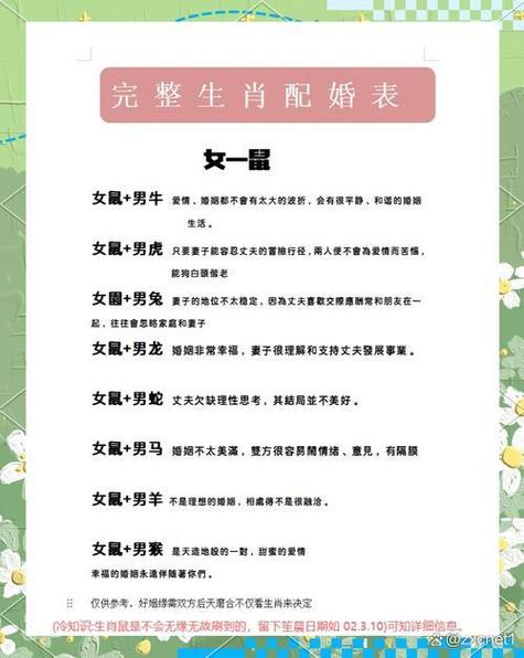 1996年出生的属鼠人之间结婚，他们的婚姻关系在1996年会怎样？