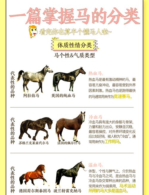 女生属马性格特点是什么这样的性格适合养宠物吗？