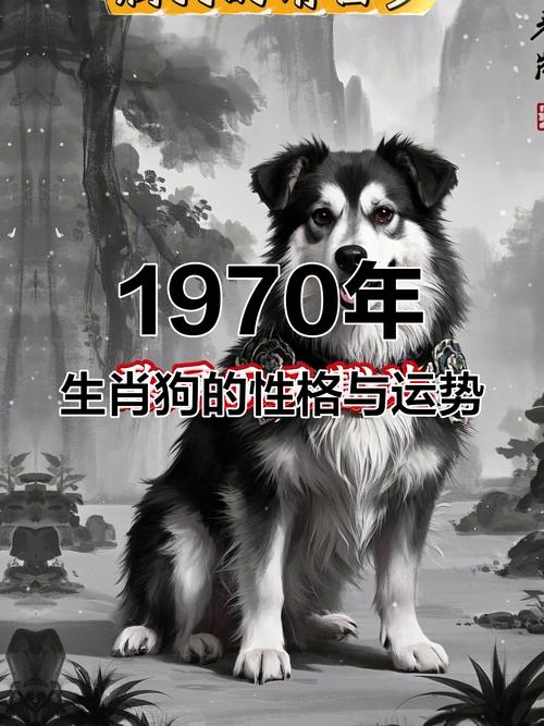 1970年属狗女性在2024年的财运运势具体表现是什么？