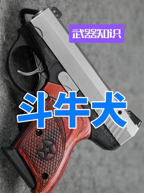 梦见自己玩玩具枪预示着什么？周公解梦中的玩具枪有何特殊含义？