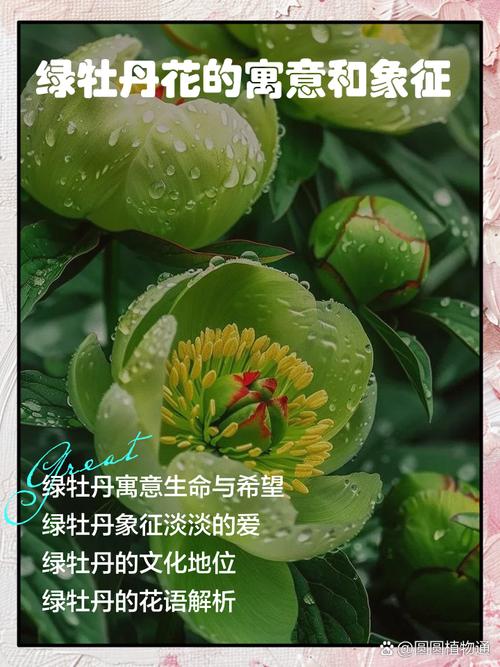梦见绿色花朵有什么特殊含义或象征？