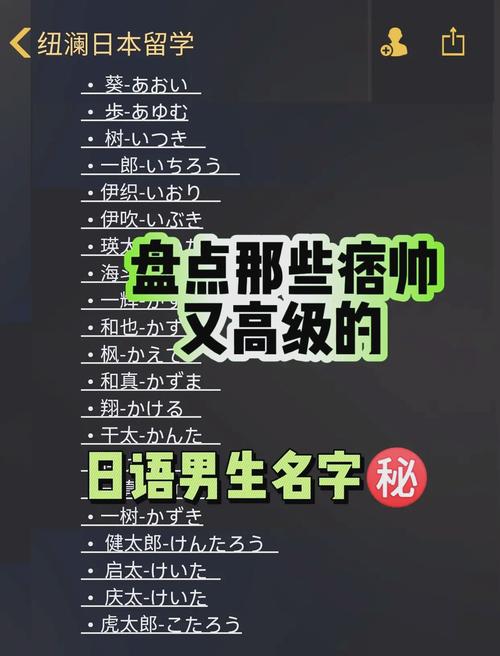 有没有寓意好听的日本男孩名字，能体现其独特性格和美好愿景的？