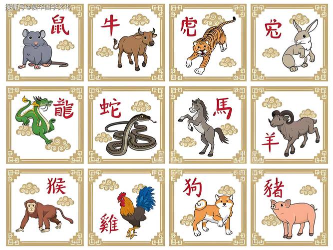 本期挂历上的生肖动物是什么？