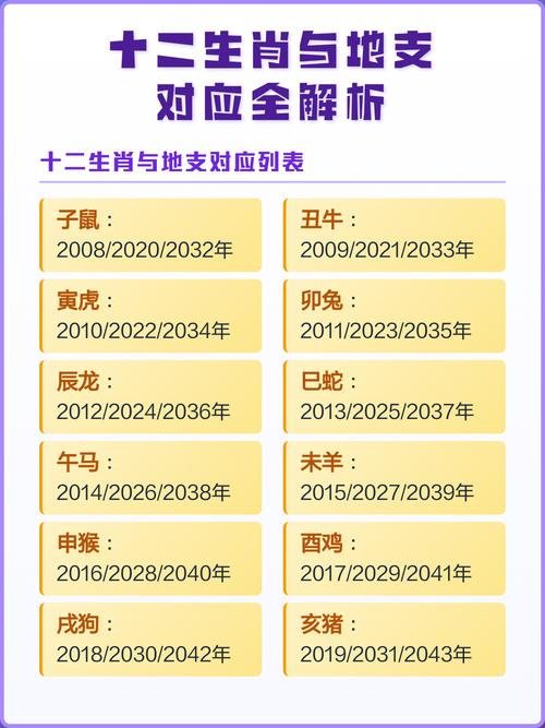 十二生肖的属相是如何按照十二地支进行划分的？