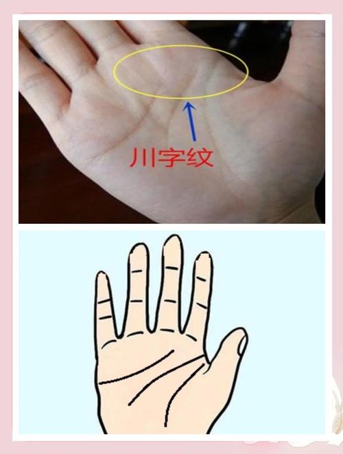双手川字掌的女人命运是否特别坚毅或命硬？