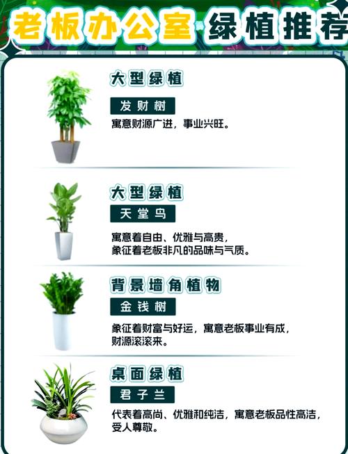 办公室摆放花卉有哪些风水禁忌需要注意？