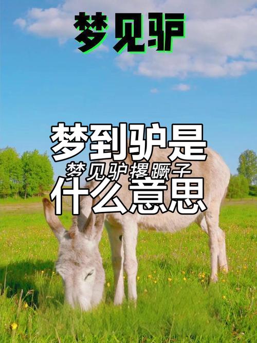女人梦到驴子预示着什么？有什么特殊含义？