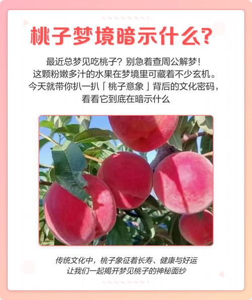 梦见摘两个桃子预示着什么吉凶？