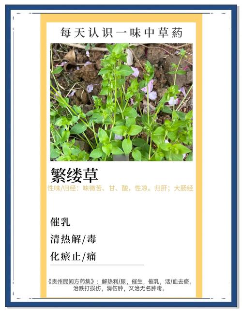 梦见身上被种草是什么征兆？预示着什么含义？