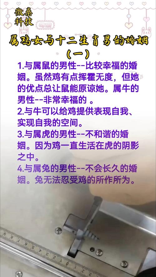 属鸡女为何会突然选择结束与我之间的感情关系？