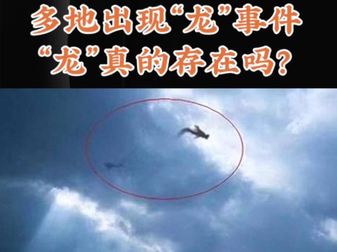 十二生肖中龙为何占据一席之地，龙真的存在过吗？