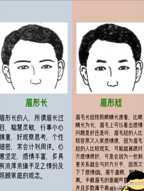 眉毛浓密的人性格特点有哪些？