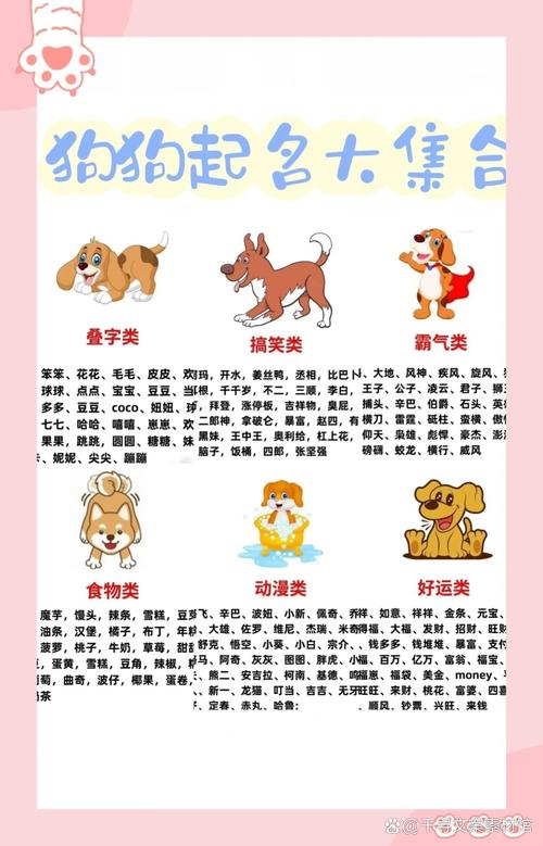 2018年属狗的女孩如何取一个大气且好听的名字呢？