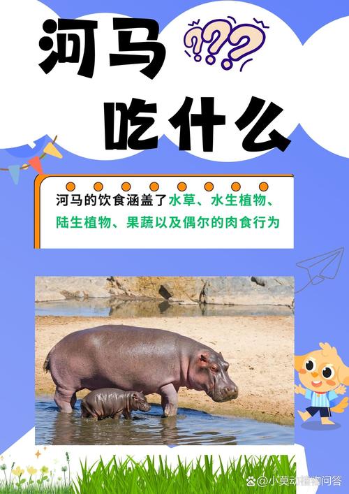 梦见河马吃人预示着什么？这是否意味着即将遭遇不幸或危险？
