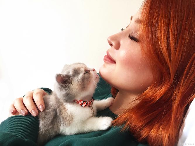 喜欢猫的女生性格特点有哪些？