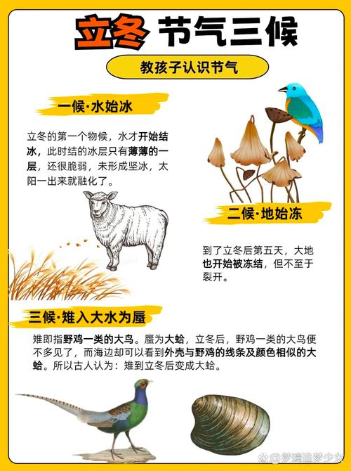 狗年冬天立冬出生的女孩命运如何？性格特点怎样？