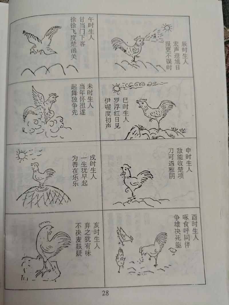 属鸡人出生在哪个时辰蕞为吉祥？