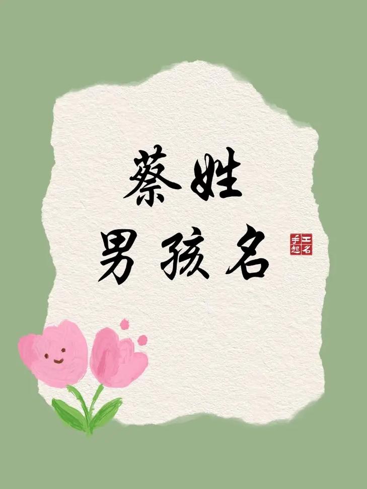 有没有什么寓意帅气的蔡姓男孩名字推荐？