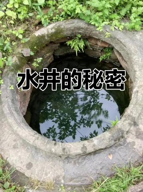 梦见水井预示着什么是吉是凶？