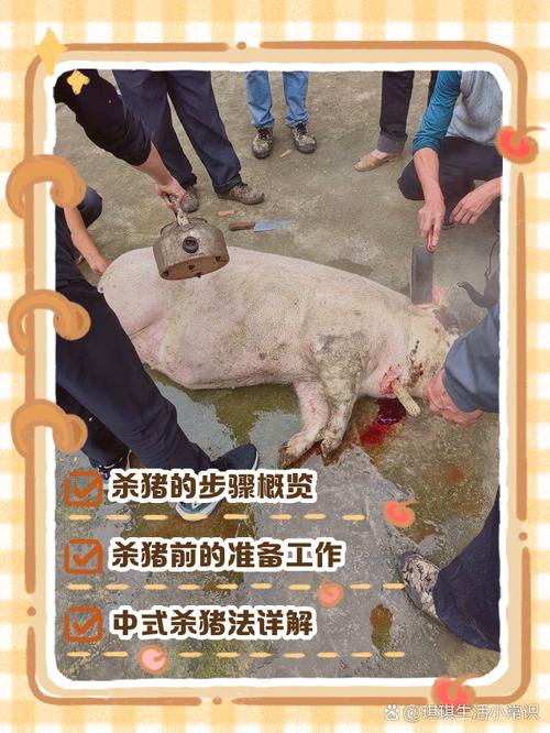 属猪人梦见自己杀猪，这究竟是什么预兆或暗示？
