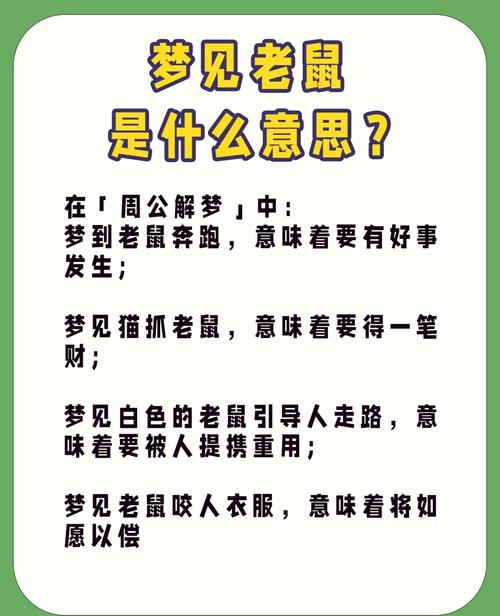 女人梦见打死一只忒别大的黑老鼠，这究竟预示着什么含义？