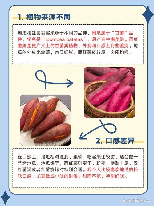 梦见红薯和土豆分别预示着什么吉凶？