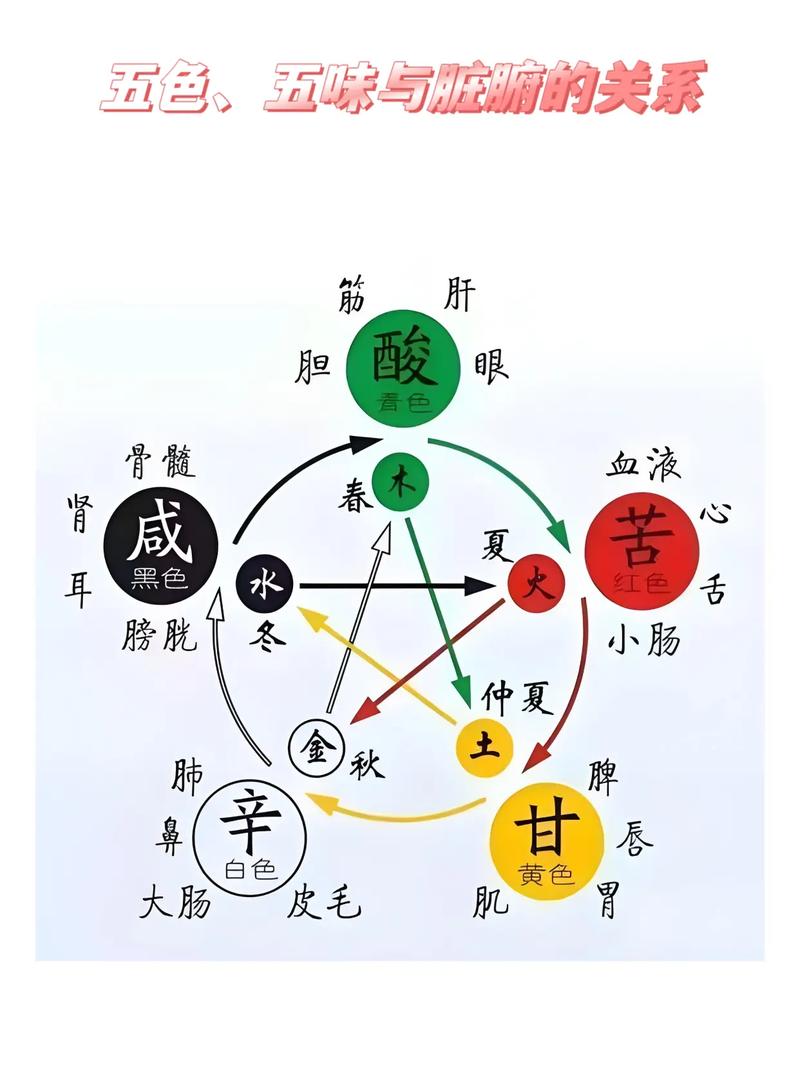 五行与五官、五色、五味、五脏之间有什么对应关系？