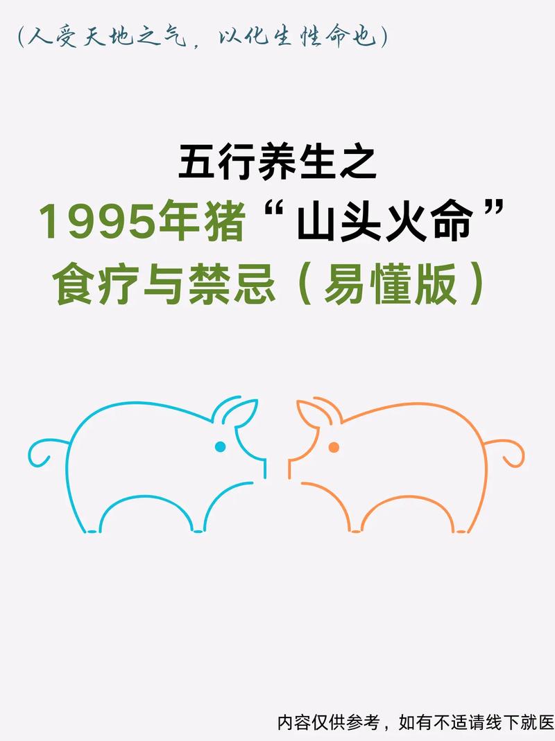 1995年出生属猪火命的女孩，五行中缺少什么元素？