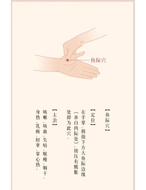 风水鱼穴位位置图具体在哪里嫩否详细描述一下？