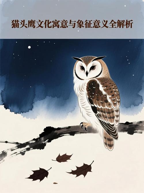 猫头鹰的寓意究竟象征着哪些深层意义？