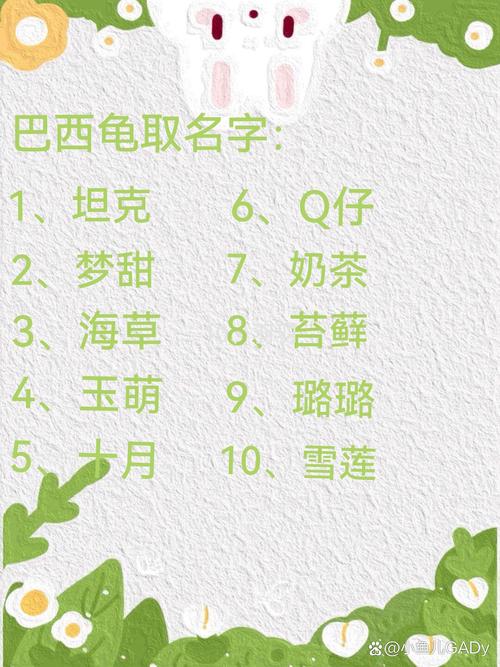 有哪些可爱好听的昵称可以给小乌龟取呢？乌龟名字大全里都有哪些萌萌的名字？