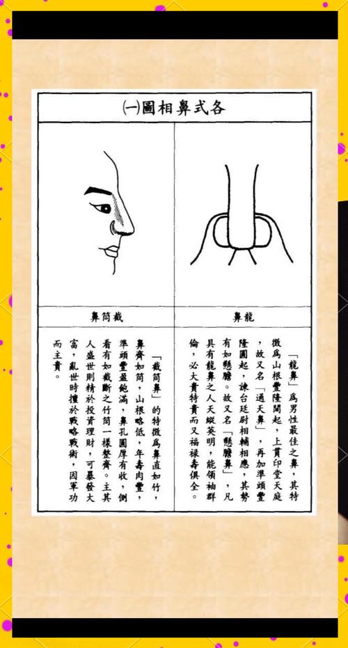面相善良的人命运如何？面相与命运微博鼻真的预示着好运吗？