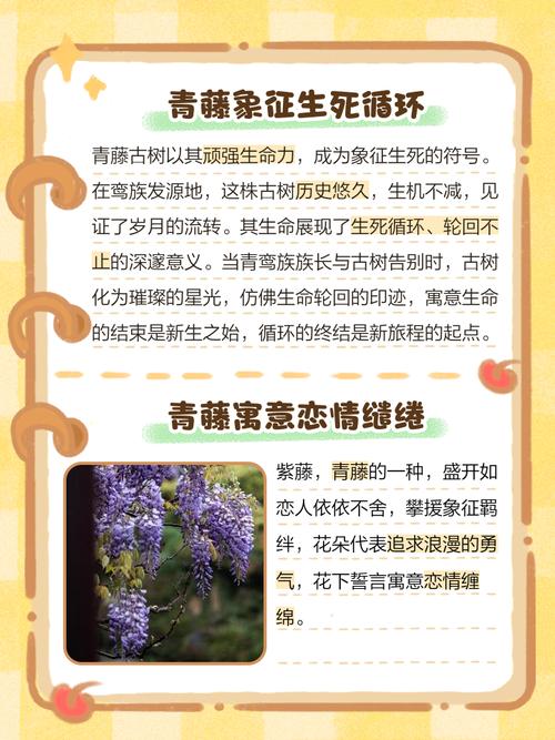 梦见藤蔓植物代表什么含义？周公解梦中的藤蔓象征有何特殊意义？