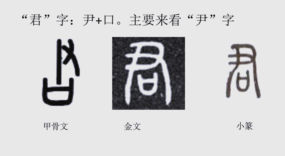 请问君字在五行中属于哪一行？