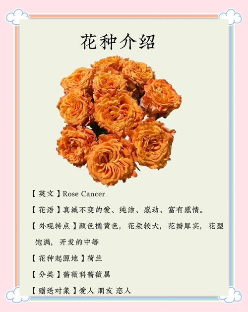 巨蟹座专属的守护花究竟是什么呢？