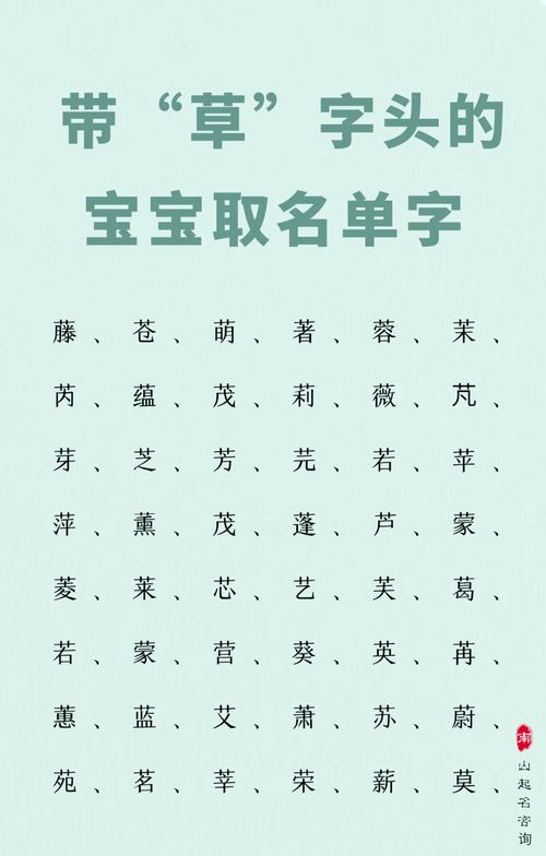 草字头有哪些字适合起名字？