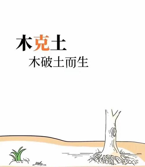 五行强金缺木的人命运如何？五行平衡对人生有何影响？