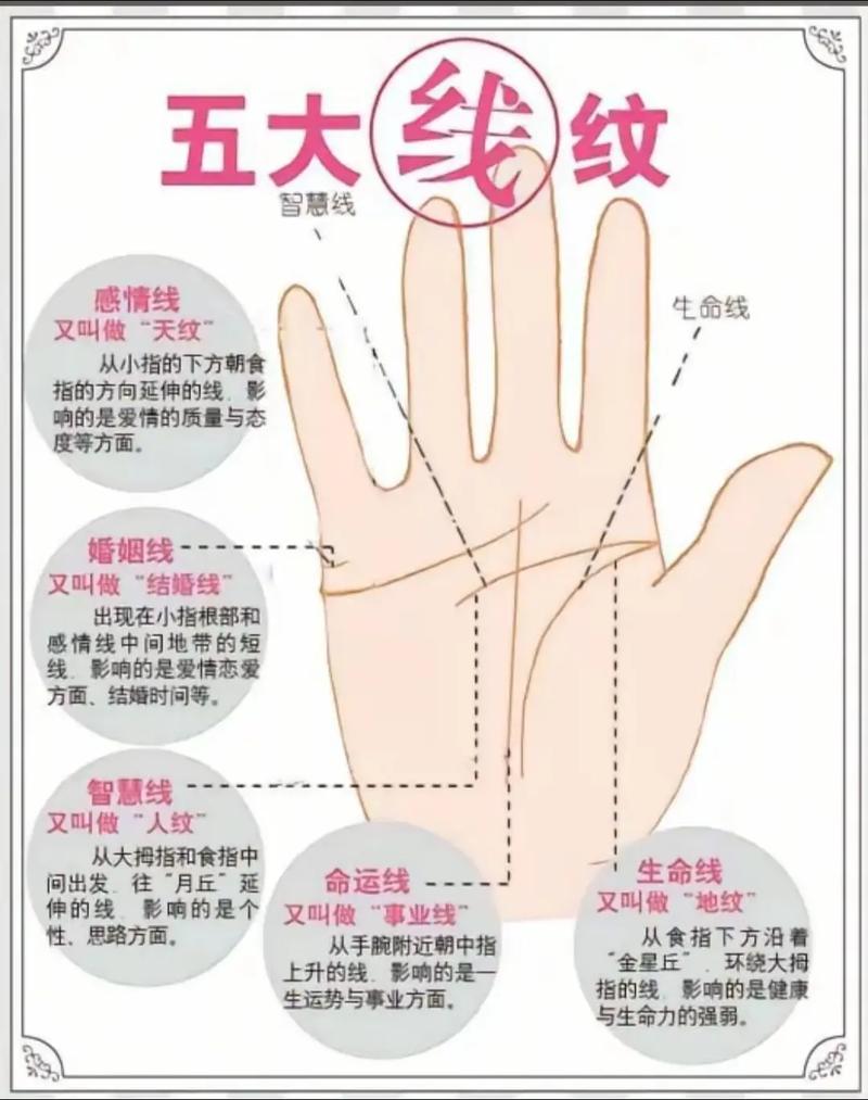 哪种手相显示的人命运忒别美好？