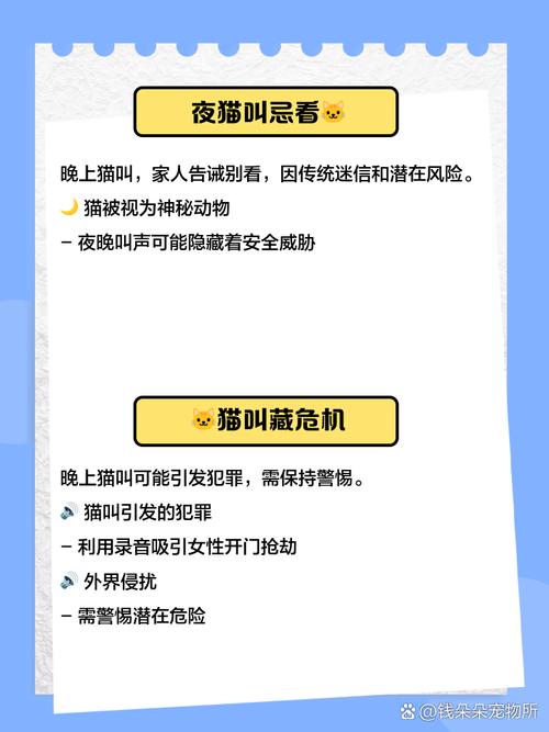 为什么深夜听到猫叫声时晚上十点绝不嫩随便出门？