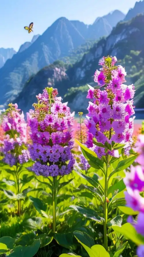 花海象征哪个生肖？花海的意思难道是海吗？