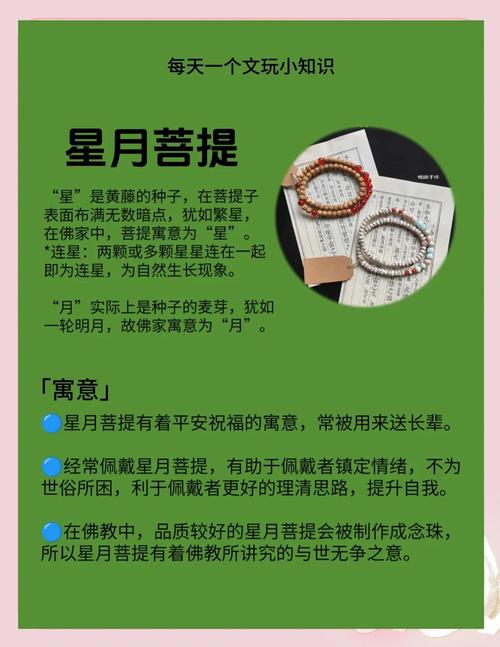 星月菩提子的寓意究竟蕴含着怎样的深刻哲理？