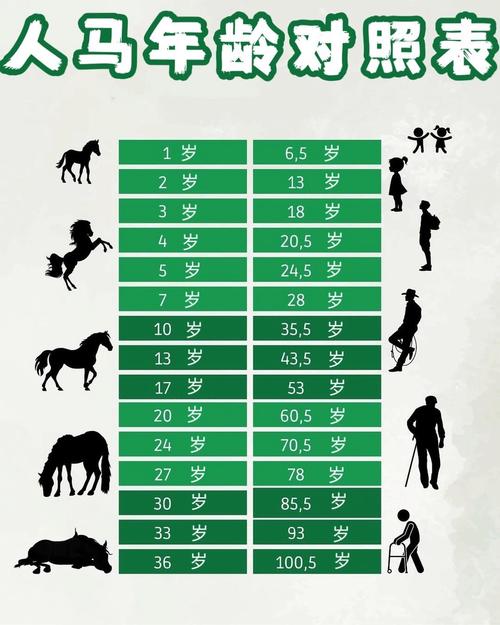 属马人的年龄是多少岁？请提供属马人的年龄表。