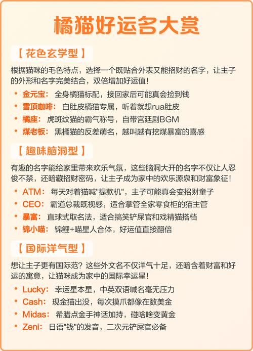 有没有什么顺口洋气的宠物名字，可以给招财猫取一个好听的呢？