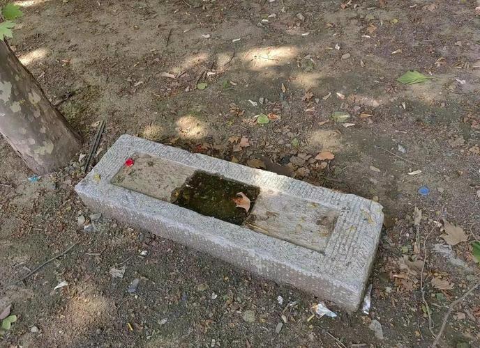 古人究竟是如何解读命运的？这种观念在历史长河中又有哪些演变？