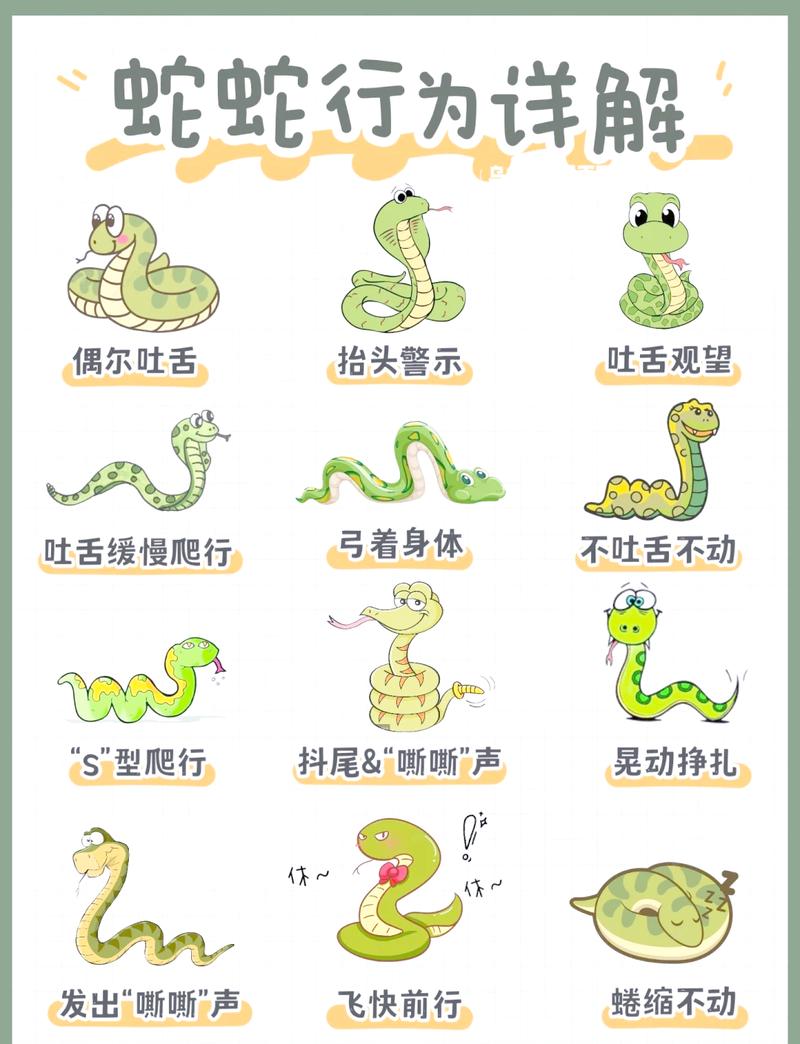 为什么属蛇人的智商会排第一，他们究竟有何过人之处？