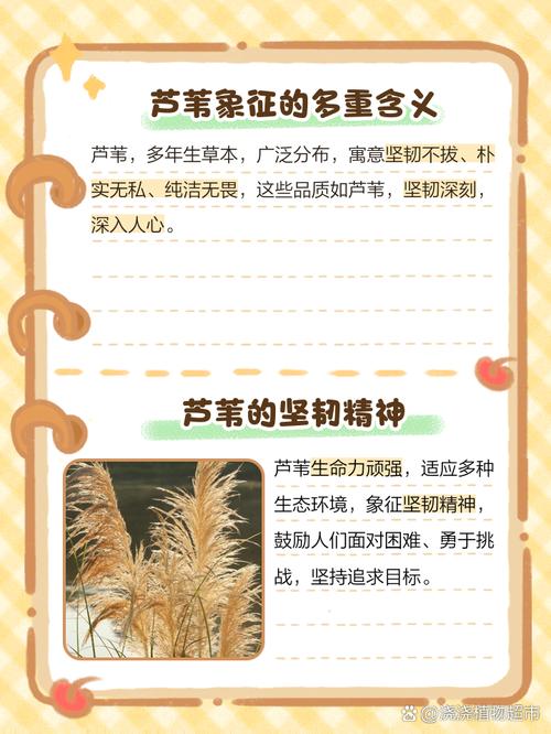 苇字取名寓意女孩大气，这样的名字美了三千年，有没有什么特别含义呢？