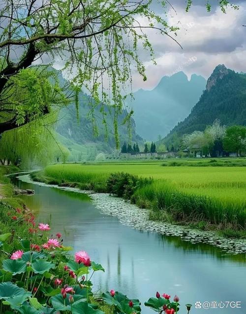 梦见如画美景预示着什么含义？