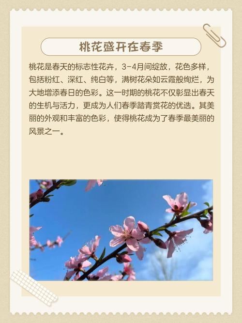 桃花一般在哪个月份盛开，具体是几月份开花？