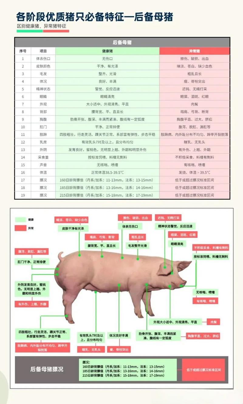 为什么属猪的，尤其是1971年和1983年的，特别能睡觉呢？